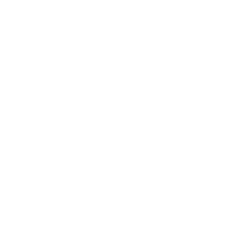 Real Business Experience
